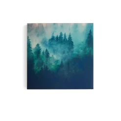 Akustiikkapaneeli IMAGE Aamuhuuru, osa 2, 800x800 mm