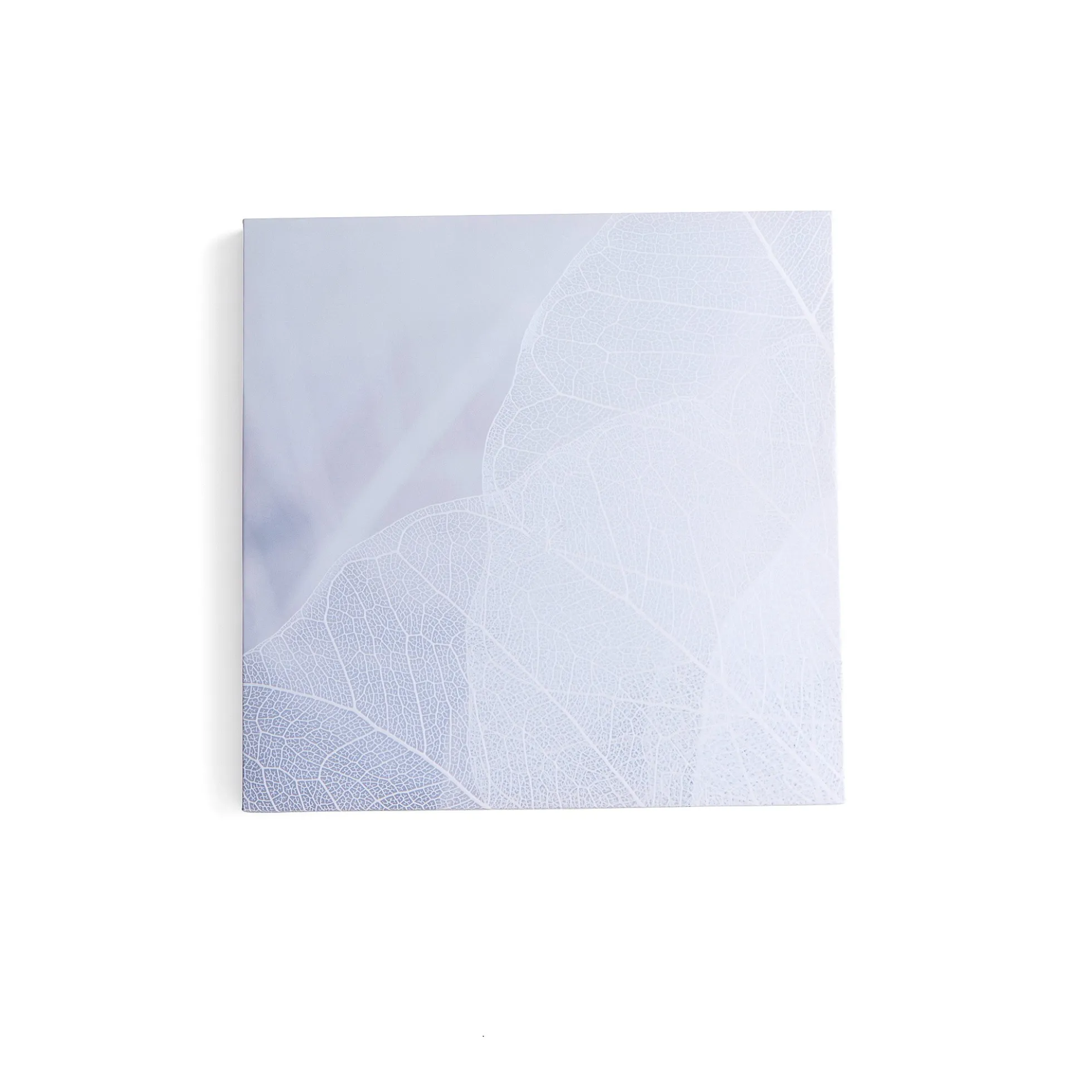 Akustiikkapaneeli IMAGE Talven lehti, 800x800 mm, harmaa