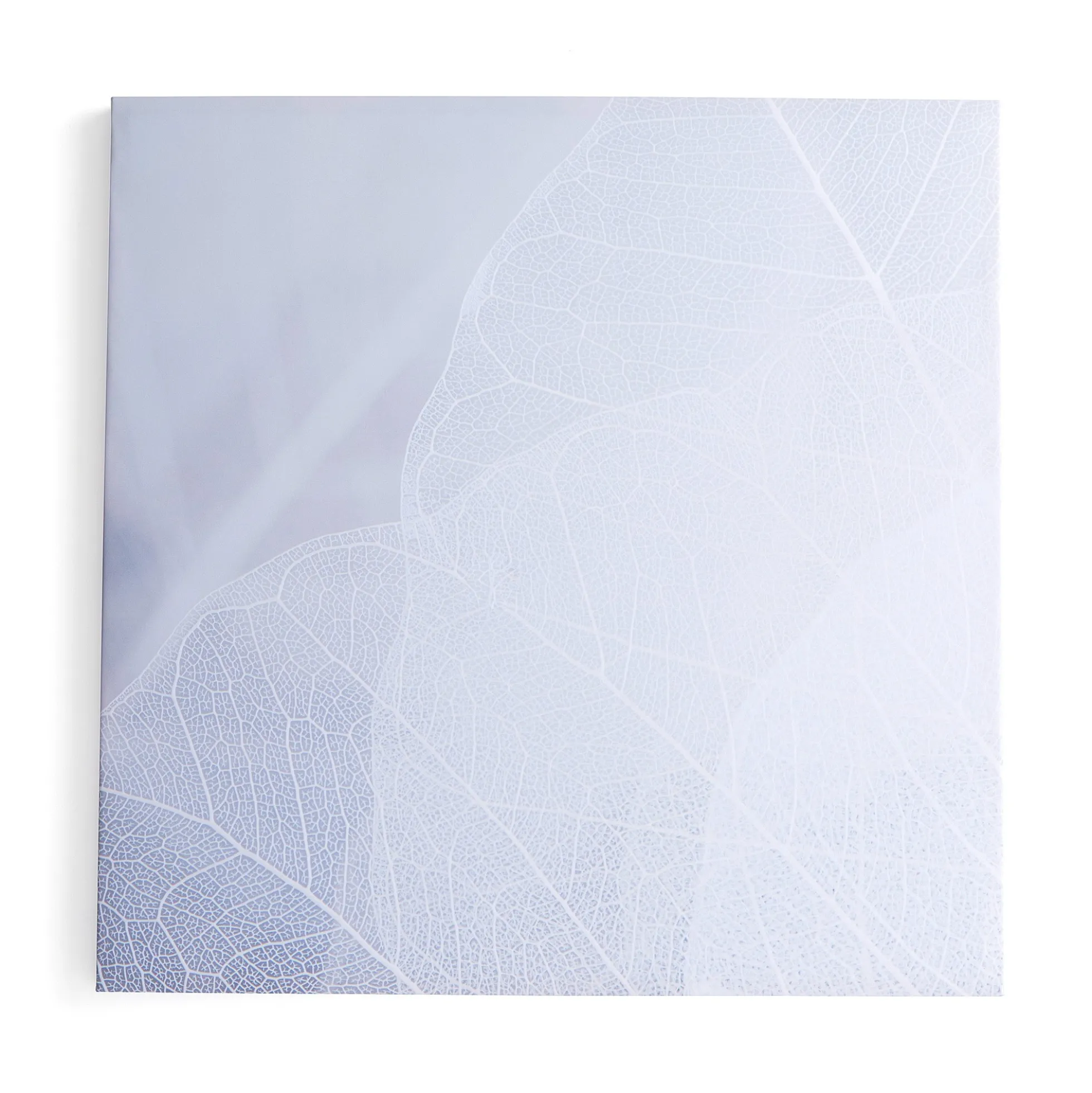 Akustiikkapaneeli IMAGE Talven lehti, 1200x1200 mm, harmaa