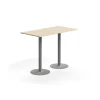 Baaripöytä ALVA 1400x700x1000 mm, korkeapainelaminaatti, hopea/koivu