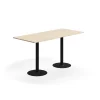 Baaripöytä ALVA 1800x800x900 mm, korkeapainelaminaatti, musta/koivu