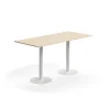 Baaripöytä ALVA 1800x800x900 mm, korkeapainelaminaatti, valkoinen/koivu