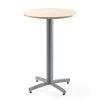 Baaripöytä SANNA Ø700x1050 mm, silver/koivu