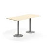 Baaripöytä VERTICUS 1800x800x900 mm, koivu/hopea