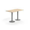 Baaripöytä VERTICUS 1400x800x900 mm, tammi/hopea