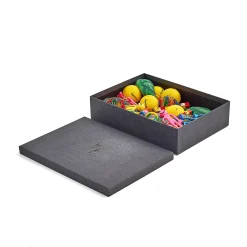 Koulutarvikesarja Aistilelut