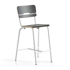 Oppilastuoli SCIENTIA Korkeus: 650 mm, valkoinen/antrasiitinharmaa