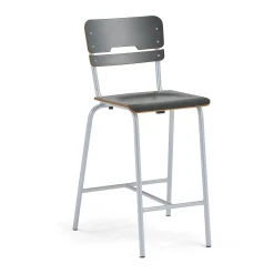Oppilastuoli SCIENTIA Leveä istuin, korkeus: 650 mm, hopeanharmaa/antrasiitinharmaa