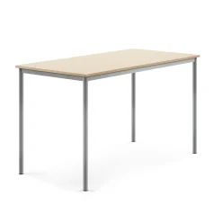 Pöytä BORÅS Korkeapainelaminaatti HPL, 1600x800x900 mm, koivu, hopeanharmaa