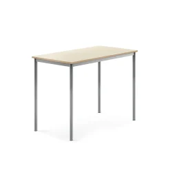 Pöytä BORÅS Korkeapainelaminaatti HPL, 1200x700x900 mm, koivu, hopeanharmaa