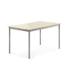 Pöytä BORÅS Korkeapainelaminaatti HPL, 1400x800x720 mm, koivu, hopeanharmaa