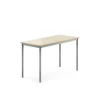 Pöytä BORÅS Korkeapainelaminaatti HPL, 1200x600x720 mm, koivu, hopeanharmaa