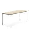 Pöytä BORÅS Korkeapainelaminaatti HPL, 1800x700x720 mm, koivu, hopeanharmaa