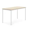 Pöytä BORÅS Korkeapainelaminaatti HPL, 1600x800x900 mm, koivu, valkoinen