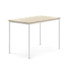 Pöytä BORÅS Korkeapainelaminaatti HPL, 1400x800x900 mm, koivu, valkoinen