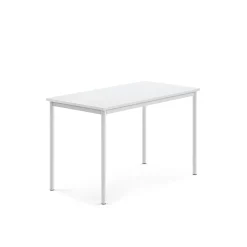 Pöytä BORÅS 1200x700x760 mm, valkoinen laminaatti, valkoinen