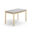 Pöytä DECIBEL 1200x700x720 mm, ääntä vaimentava korkeapainelaminaatti HPL, harmaa