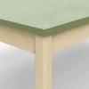 Pöytä DECIBEL 1600x800x530 mm, ääntä vaimentava linoleumi, koivu/harmaanvihreä