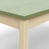 Pöytä DECIBEL 1600x700x590 mm, ääntä vaimentava linoleumi, koivu/harmaanvihreä