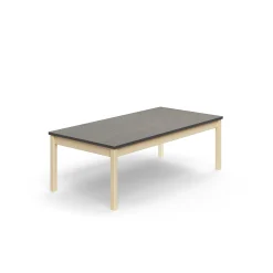 Pöytä DECIBEL 1600x800x530 mm, ääntä vaimentava linoleumi, koivu/tummanharmaa