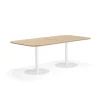 Pöytä METRIC Pyöristetyin kulmin, 2000x1000x720 mm, valkoinen/tammi
