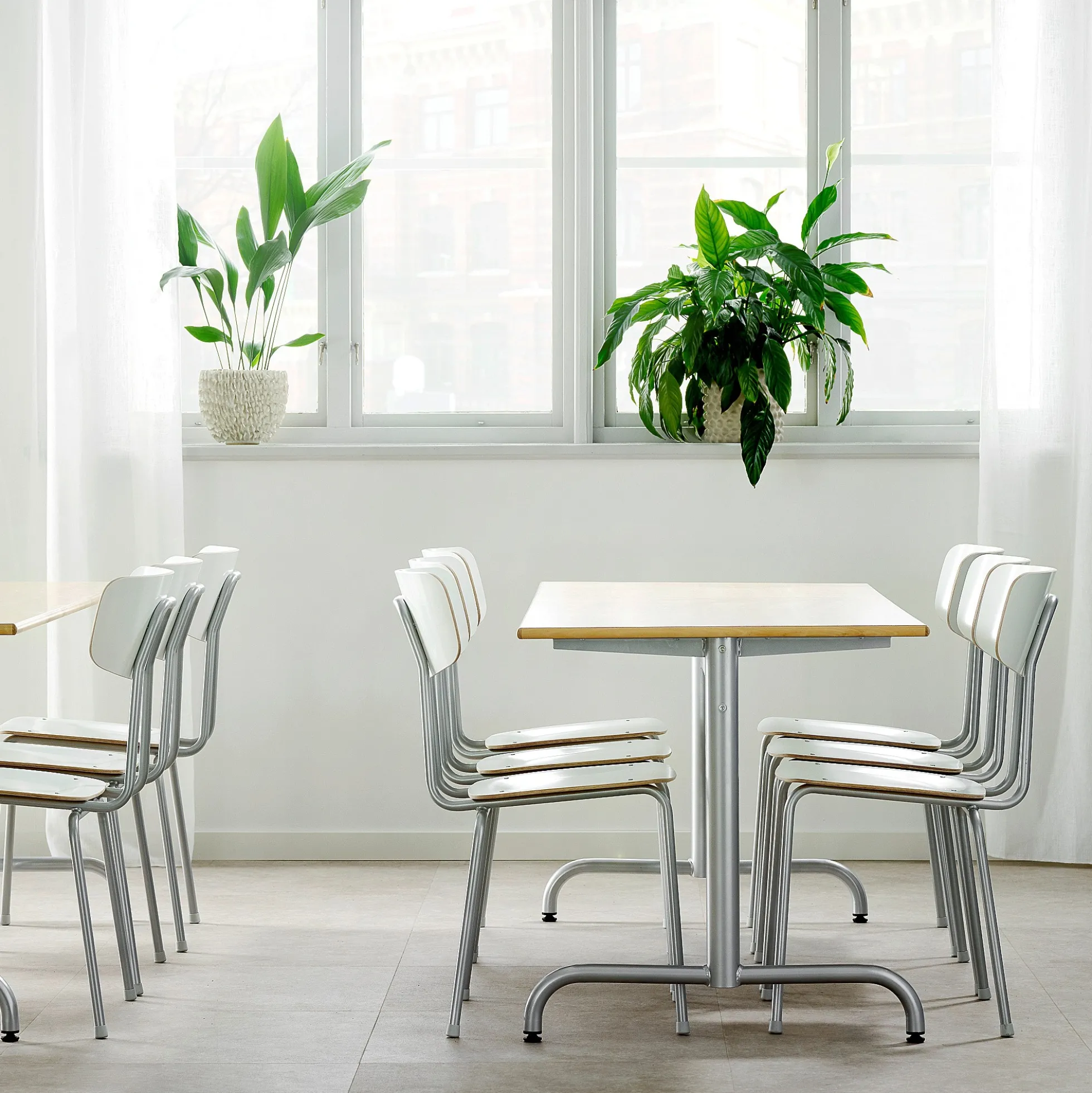 Pöytä PLURAL 1800x700x720 mm, ääntä vaimentava korkeapainelaminaatti, koivu, hopeanharmaa
