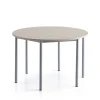 Pöytä SONITUS PLUS Ø1200x760 mm, korkeapainelaminaatti HPL, saarni, hopeanharmaa
