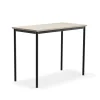 Pöytä SONITUS PLUS 1200x600x900 mm, korkeapainelaminaatti HPL, saarni, antrasiitinharmaa