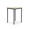 Pöytä SONITUS PLUS 700x600x900 mm, korkeapainelaminaatti HPL, saarni, antrasiitinharmaa