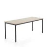 Pöytä SONITUS PLUS 1800x700x720 mm, korkeapainelaminaatti HPL, saarni, antrasiitinharmaa