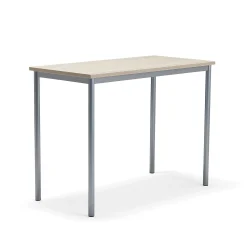 Pöytä SONITUS PLUS 1200x600x900 mm, korkeapainelaminaatti HPL, saarni, hopeanharmaa