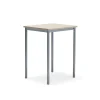 Pöytä SONITUS PLUS 700x600x900 mm, korkeapainelaminaatti HPL, saarni, hopeanharmaa