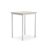 Pöytä SONITUS PLUS 700x600x900 mm, korkeapainelaminaatti HPL, saarni, valkoinen