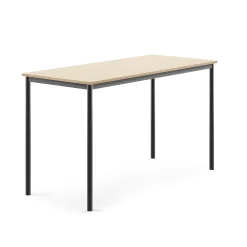 Pöytä SONITUS 1600x700x900 mm, korkeapainelaminaatti HPL, koivu, antrasiitinharmaa