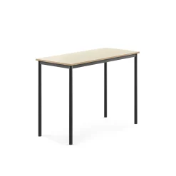 Pöytä SONITUS 1200x600x900 mm, korkeapainelaminaatti HPL, koivu, antrasiitinharmaa