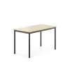 Pöytä SONITUS 1200x700x720 mm, korkeapainelaminaatti HPL, koivu, antrasiitinharmaa