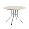 Pöytä VARIOUS Ø1100x740 mm, hopeanharmaa, koivu