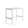 Pöytä VARIOUS 1200x800x1050 mm, valkoinen, valkoinen
