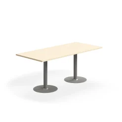 Pöytä VERTICUS 1800x800x720 mm, koivu/hopea