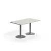 Pöytä VERTICUS 1400x800x720 mm, vaaleanharmaa/hopea