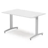 Ruokapöytä SANNA 1200x800x720 mm, silver/valkoinen