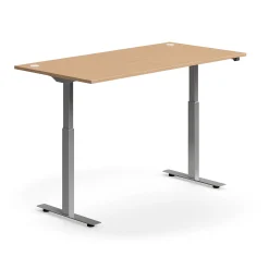 Sähköpöytä FLEXUS Suora pöytälevy, 1600x800 mm, hopeanharmaa jalusta, pyökki