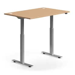 Sähköpöytä FLEXUS Suora pöytälevy, 1200x800 mm, hopeanharmaa jalusta, pyökki