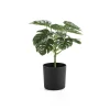 Tekokasvi EVERGREEN Monstera, 250 mm, 1 kpl/pk