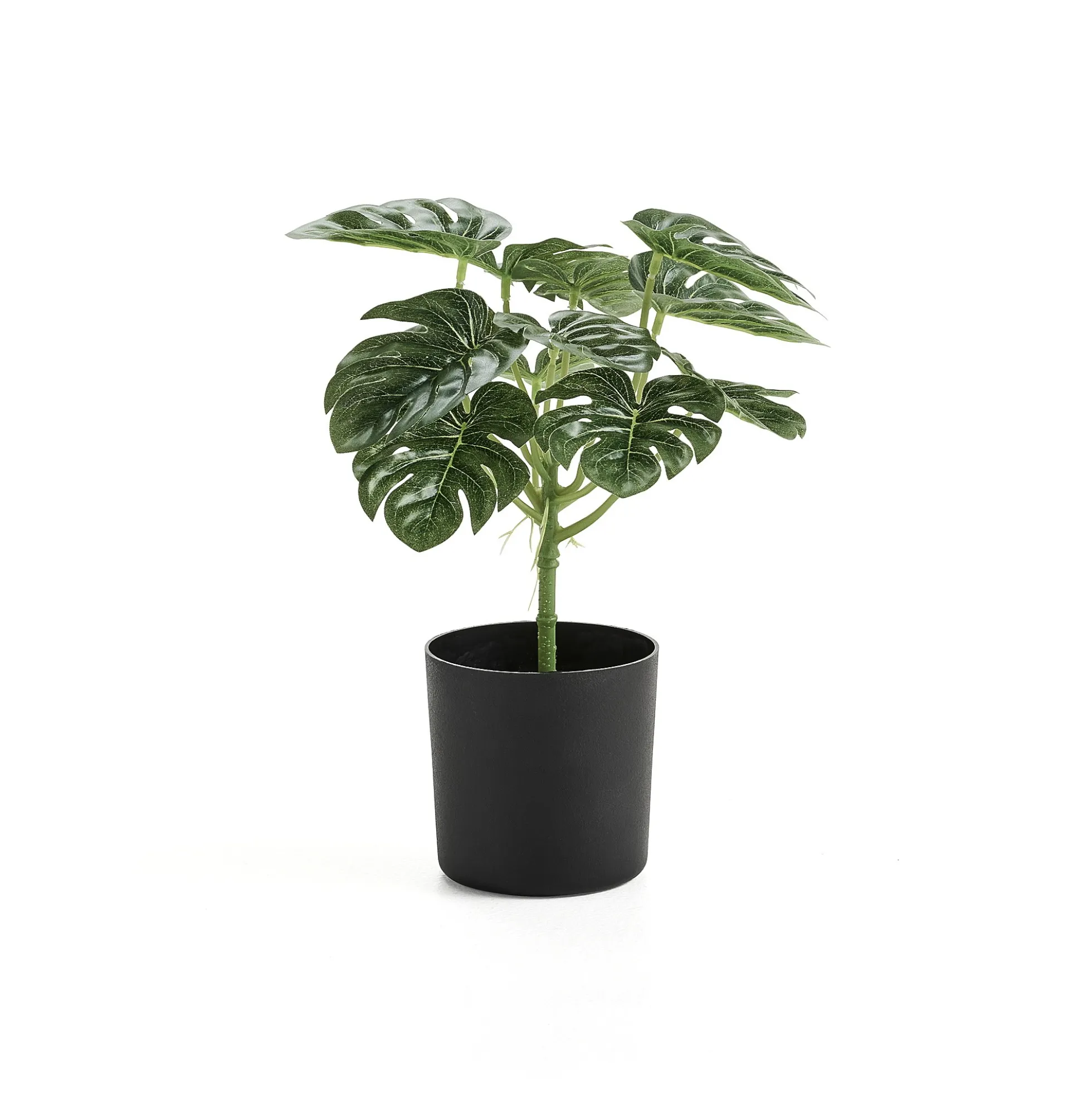 Tekokasvi EVERGREEN Monstera, 250 mm, 1 kpl/pk