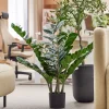 Tekokasvi ZZ EVERGREEN 1000 mm, 1 kpl/pk