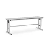 Teollisuuspöytä MOTION Sähköisesti korkeussäädettävä, 300 kg, 2500x600 mm, harmaa
